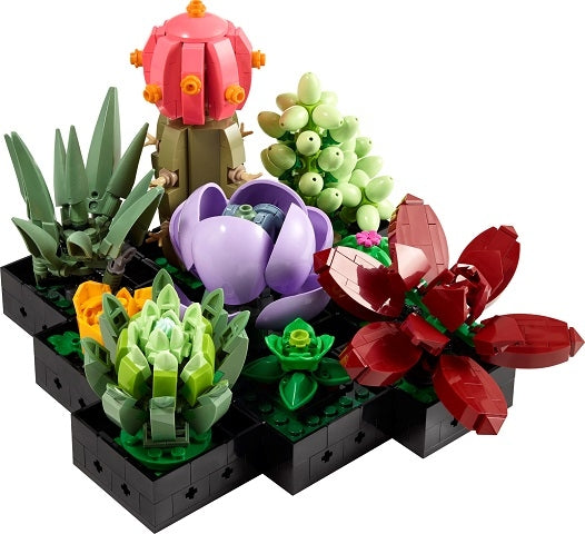 Succulents — model