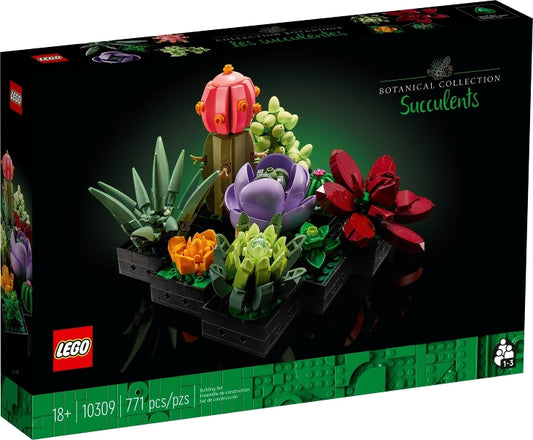 Succulents — box