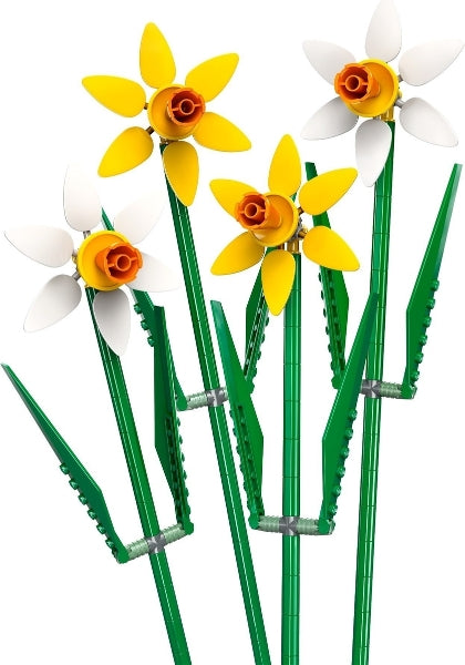 Daffodils — model