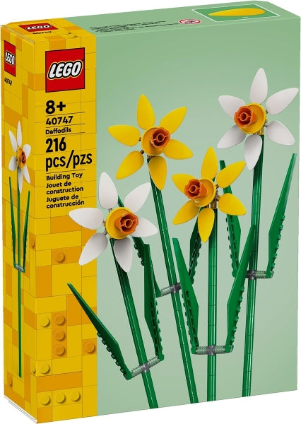 Daffodils — box